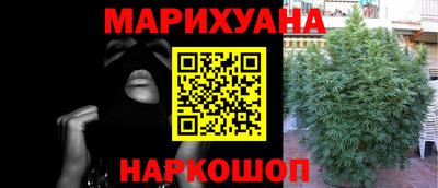 гидропоника Пугачёв