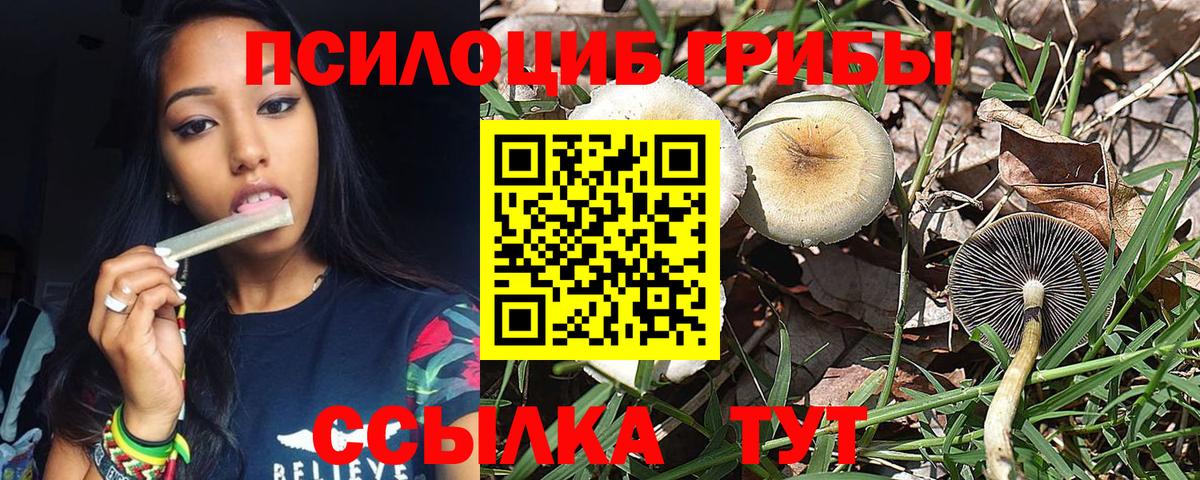 Галлюциногенные грибы мухоморы Ханты-Мансийск