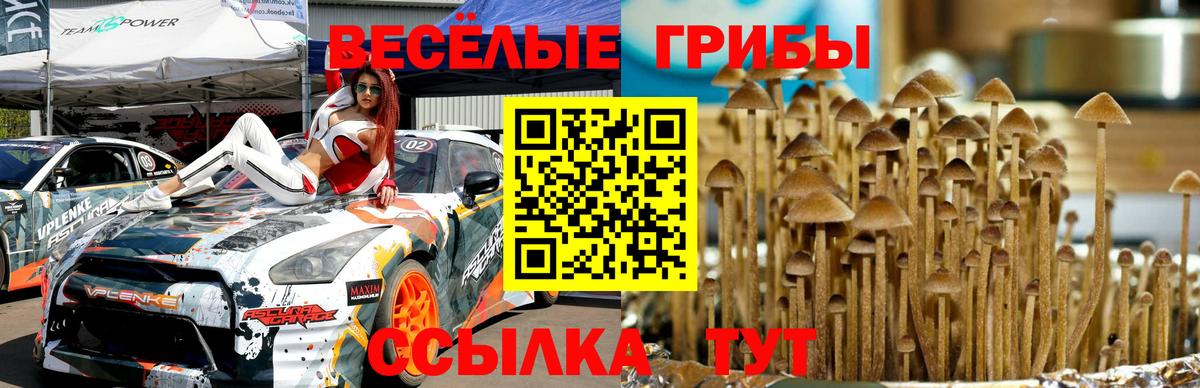 Галлюциногенные грибы GOLDEN TEACHER  Вход с VPN  Галлюциногенные грибы мицелий  Ханты-Мансийск 