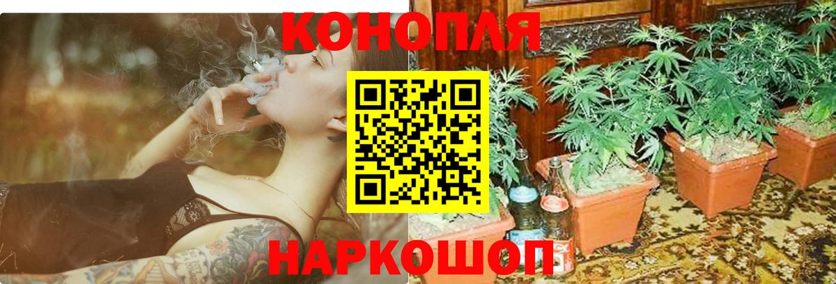 Шишки марихуана MAZAR Ханты-Мансийск